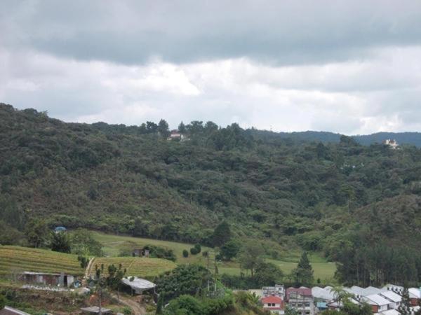 Hotel Chua Gin Cameron Highlands Bagian luar foto